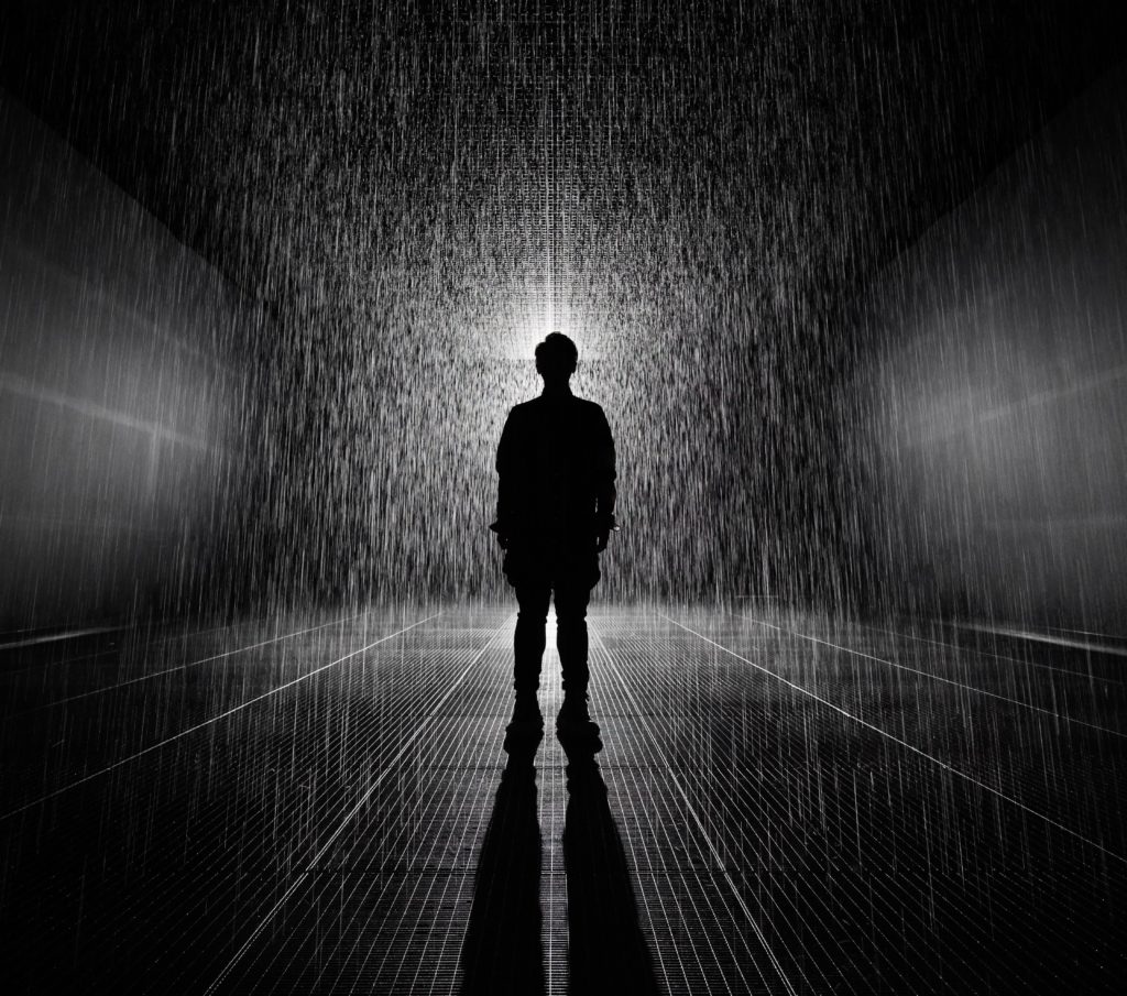 silhouette of person standing inside Rain Room