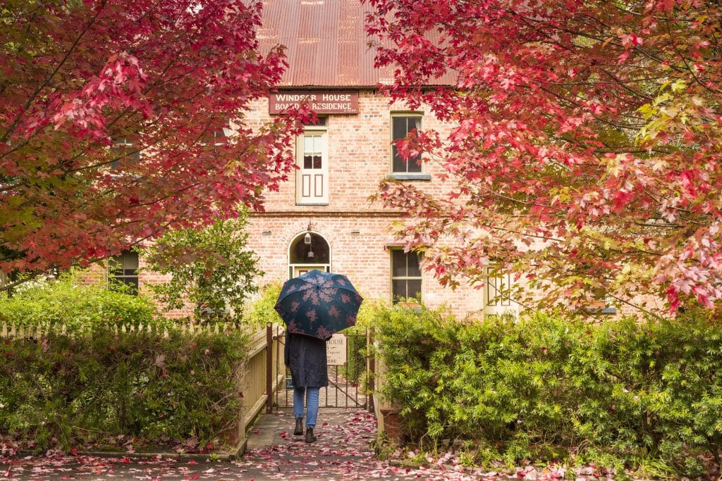 19 Remarkable Places To See Autumn Leaves In Melbourne And Victoria
