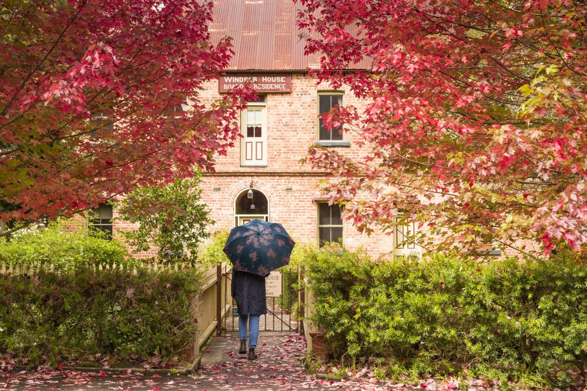 19-remarkable-places-to-see-autumn-leaves-in-melbourne-and-victoria