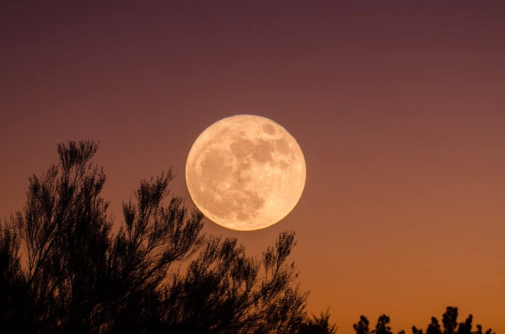 Both The Sturgeon Supermoon And Perseid Meteor Shower Could Be Visible This Week