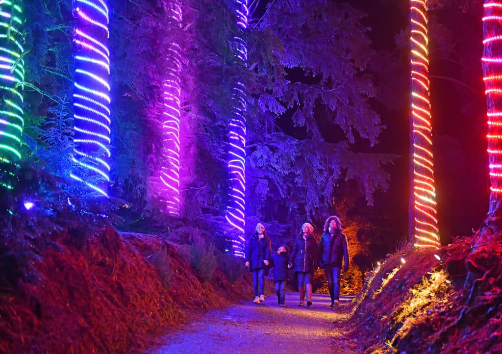 people walking next to illuminated trees at Lightscape, one of things things to do in Melbourne in June