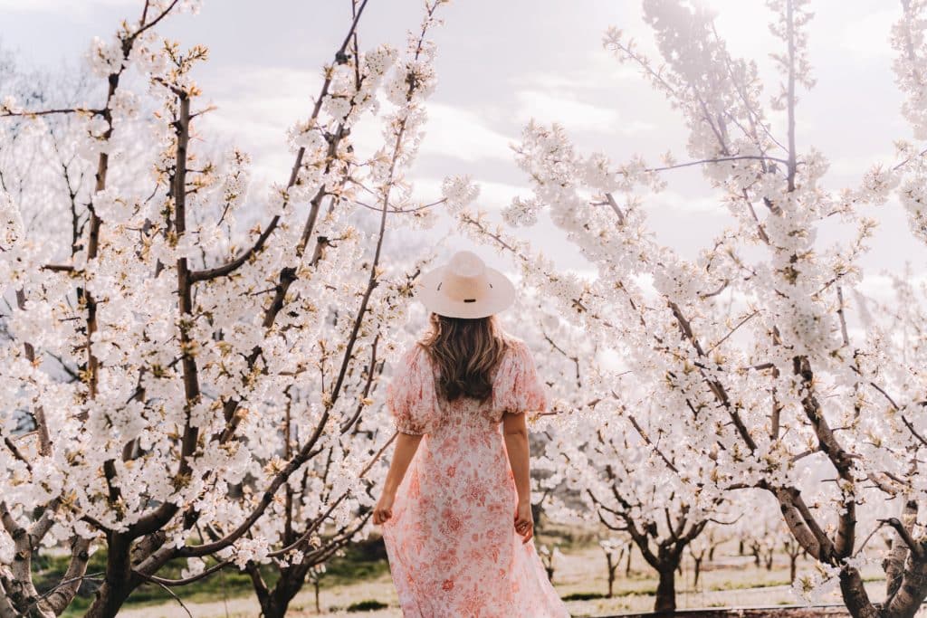 woman surrounded by blooming cherry trees at cherry blossom festival