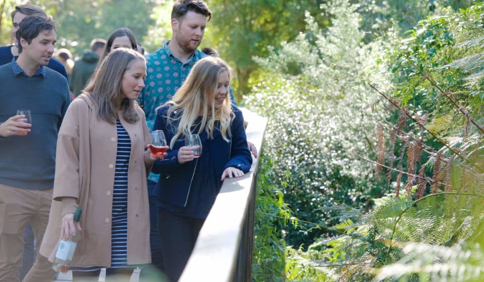 Relax With Nature And Have A Wine-Derful Time At Healesville Sanctuary’s Wine & Wildlife Festival