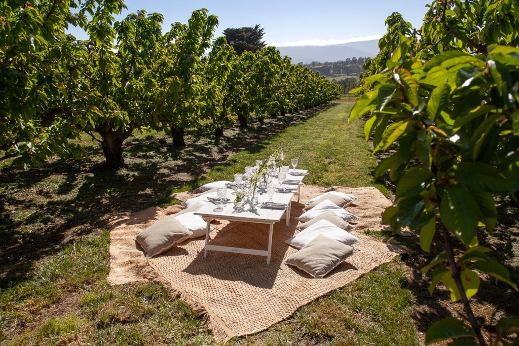 Treat Yourself To A Posh Picnic At This Cherry Orchard In The Yarra Valley