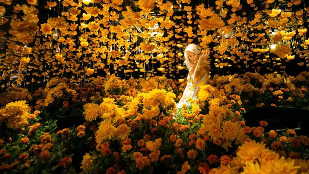 The World’s Most Instagrammable Exhibit Is Now Open At Crown