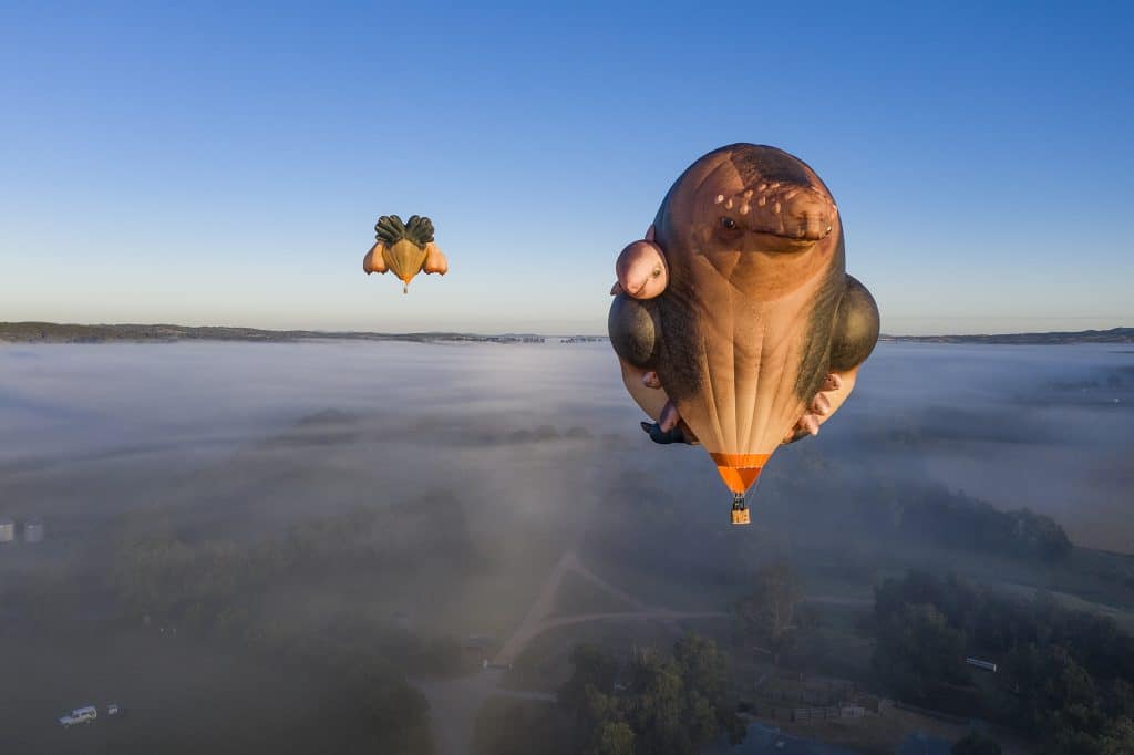 A Family Of Gigantic Skywhale Hot Air Balloons Will Soon Soar Across Melbourne’s Skies