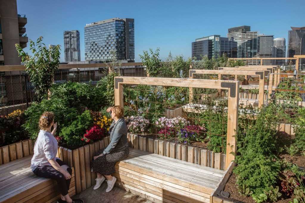 A Rooftop Car Park In The Heart Of Melbourne Is Being Transformed Into An Urban Farm