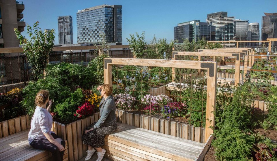 A Rooftop Car Park In The Heart Of Melbourne Is Being Transformed Into An Urban Farm