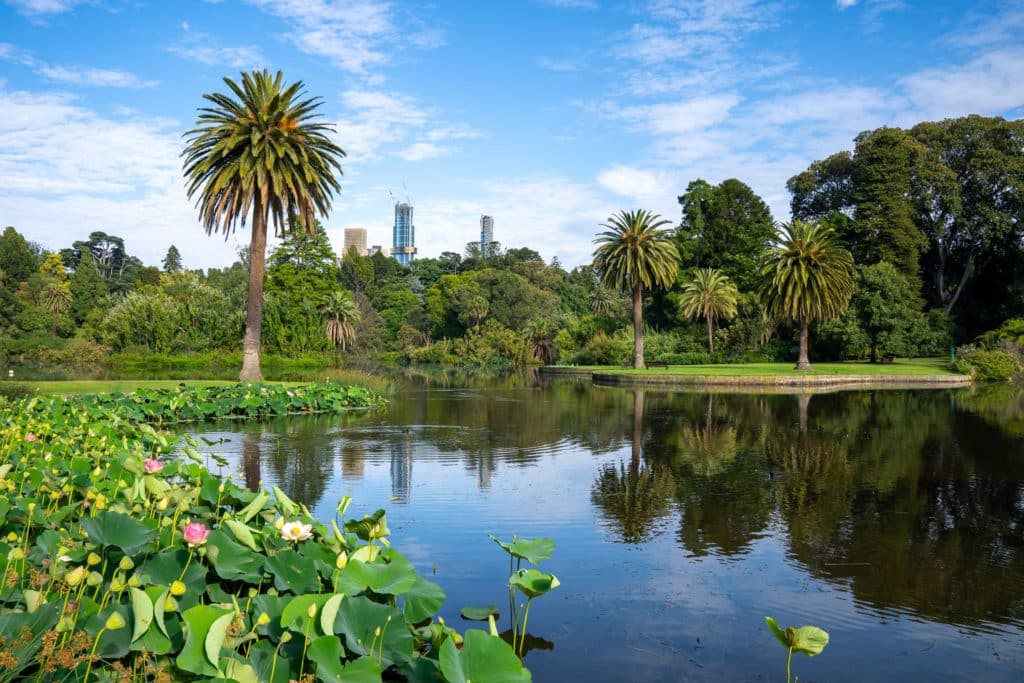 A view of trees and a lake at Royal Botanic Gardens Melbourne