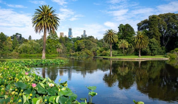 45 Fantastic Free Things To Do In Melbourne