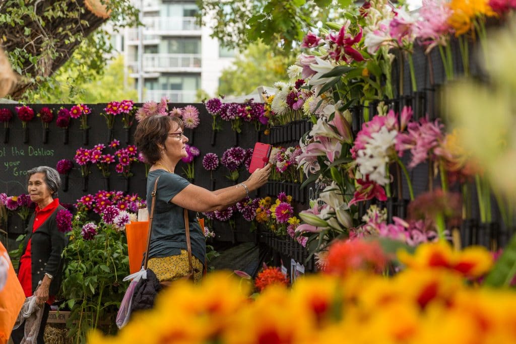 woman browsing flowers at melbourne international flower and garden show