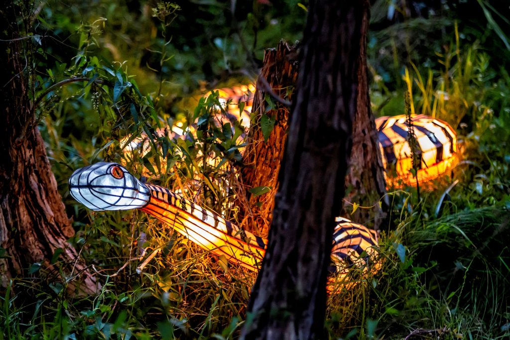 a glowing yellow snake, weaving around some tree trunks
