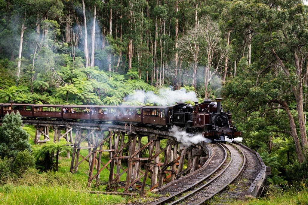 Puffing Billy train on track in forest with steam coming out
