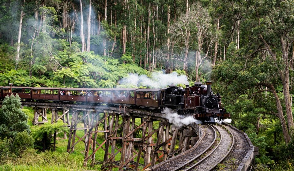 Let Your Legs Swing Free As This Time-Honoured Tradition Returns To Puffing Billy