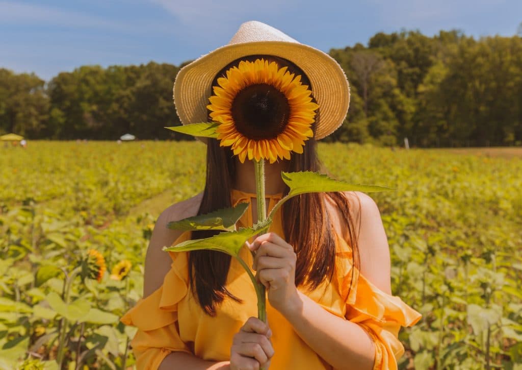 woman holding a sunflower in front of her face as she stands in a field of sunflowers