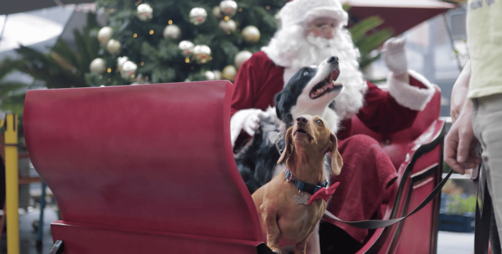 Santa Is Coming To Prahran Market For Pictures With Your Pets And Kids