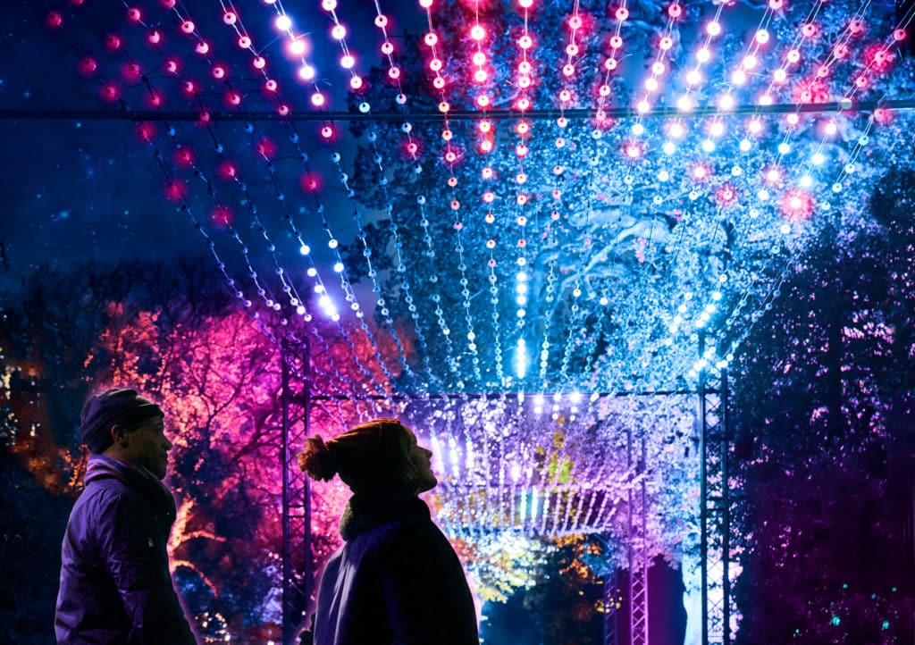 Lightscape Is Returning To The Royal Botanic Gardens With A Sparkling New Trail In 2023