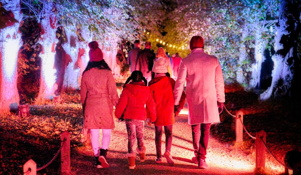 Lightscape Is Now Dazzling The Royal Botanic Gardens With A Sparkling New Trail