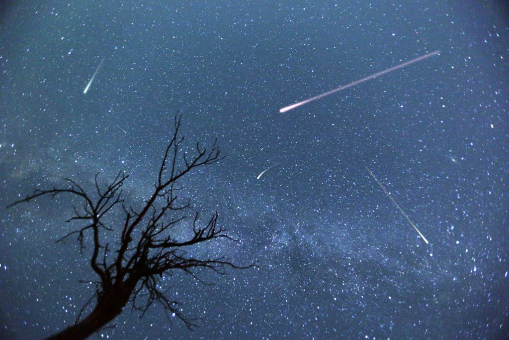 Here’s When The Eta Aquariid Meteor Shower Will Light Up Your Night
