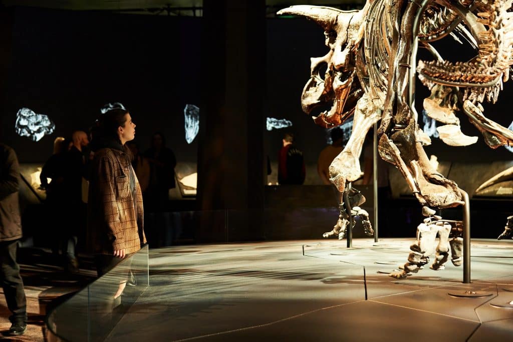 Stay Out After Dark With Saturday Sessions At Melbourne Museum
