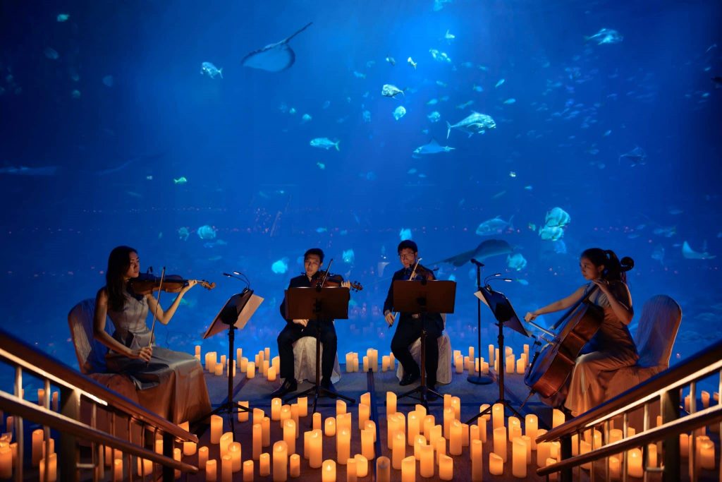 Feel The Glow Of Movie Magic With A Stunning Candlelight Concert At Sea Life Melbourne Aquarium