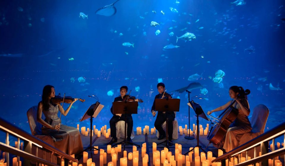 Film Scores At Sea Life Melbourne Aquarium By Candlelight Has Announced Its Final Four Dates