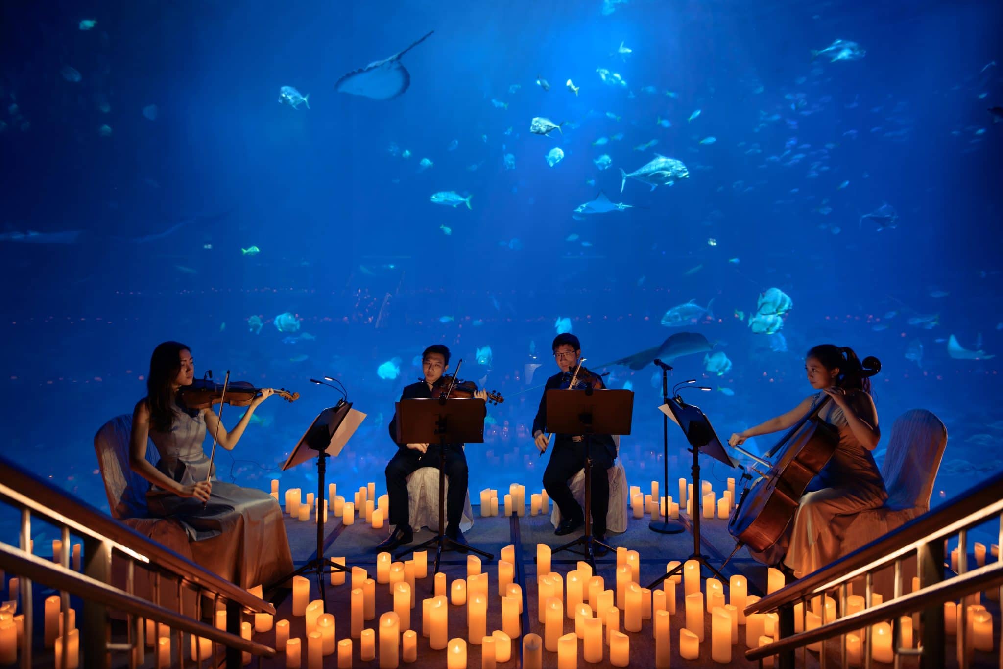 Film Scores Candlelight Concerts At Sea Life Melbourne Aquarium