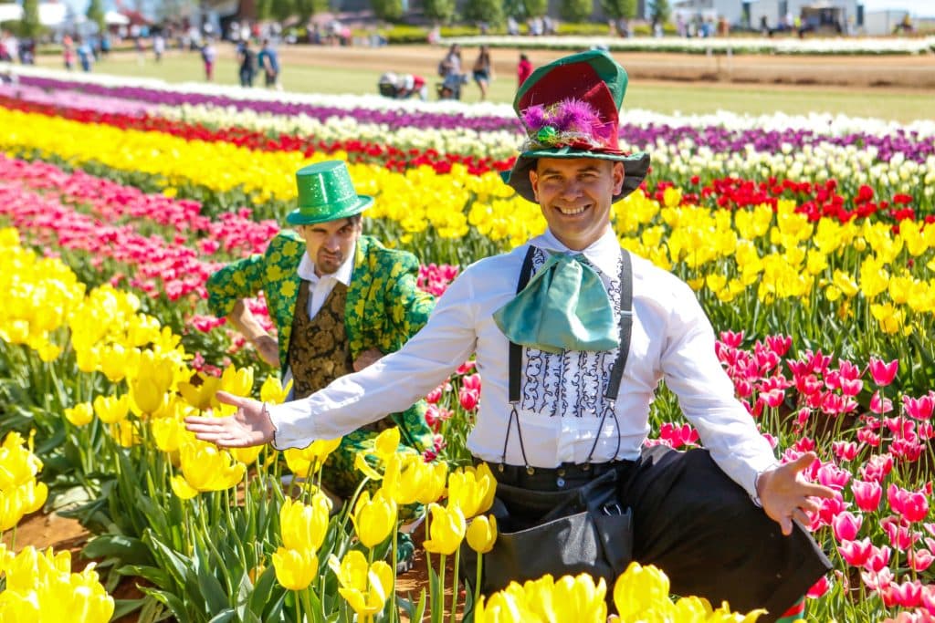 men in Irish-themed clothing posing among tulips at the Tesselaar Tulip Festival