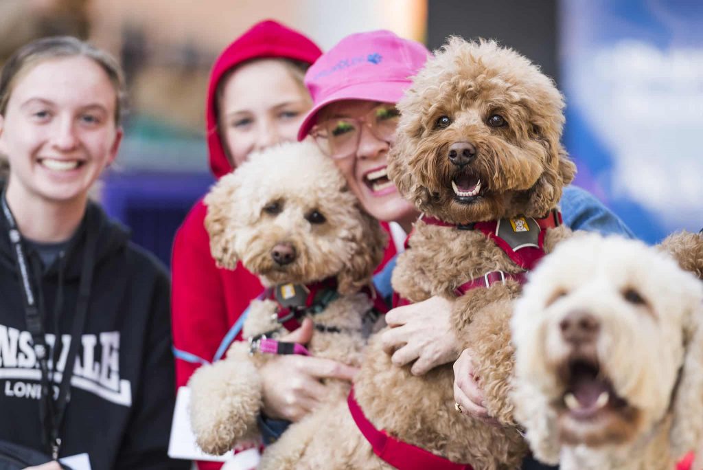 Paw Yeah! The Melbourne Dog Lovers Show Is Returning After Three Years