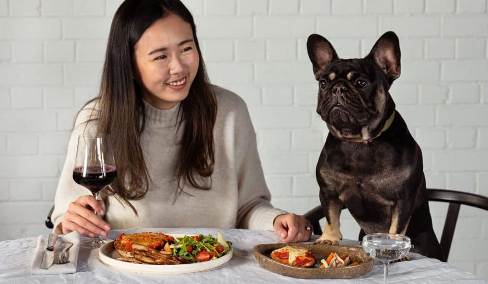 Share A Pawsome Dinner Date With Your Dog Thanks To This Tasty Three Course Meal Kit