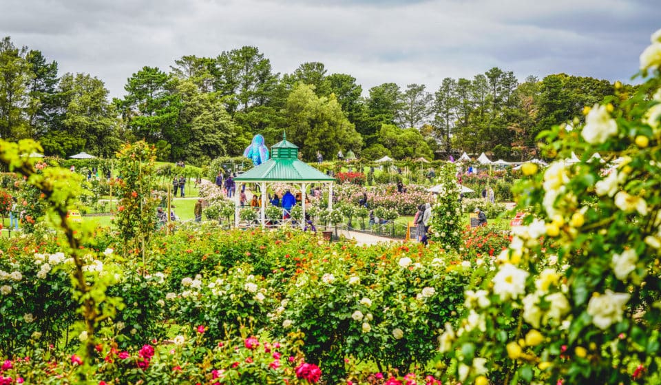 The Spectacular State Rose & Garden Show Will Bloom Again This Month