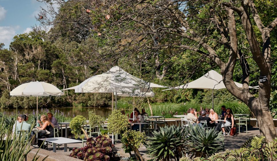 The Terrace Is Reopening With A Vibrant New Café And Event Space In The Royal Botanic Gardens