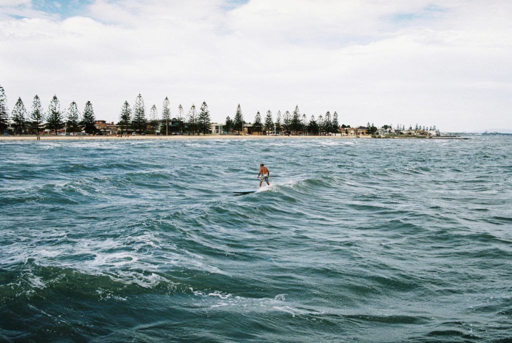 man on a stand up paddle board riding a wave at altona beach in Melbourne with the shoreline in the background, sand and pine trees lining the road