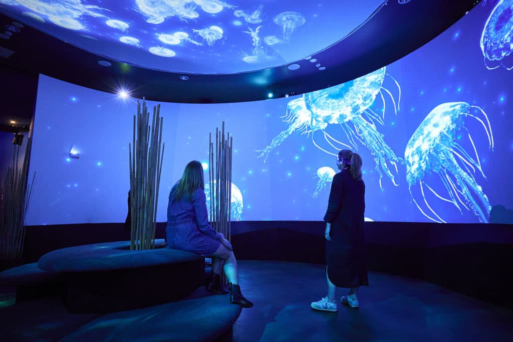 two people staring at an underwater digital screen