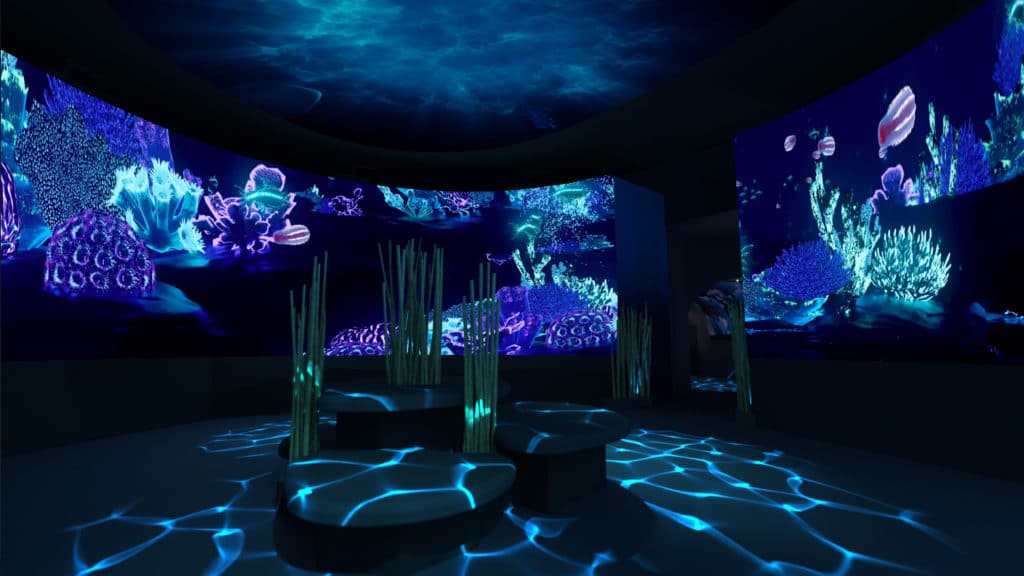 Swim Over To SEA LIFE Melbourne Aquarium For An Immersive New Digital Experience