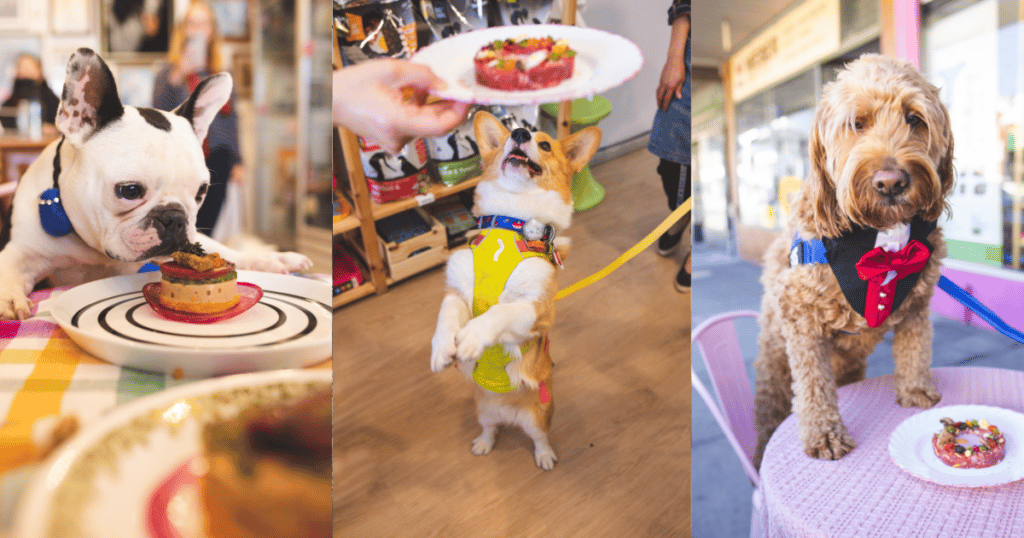 Your Dog Will Have A Rebarkable Time At This Fancy Dog Degustation Dinner
