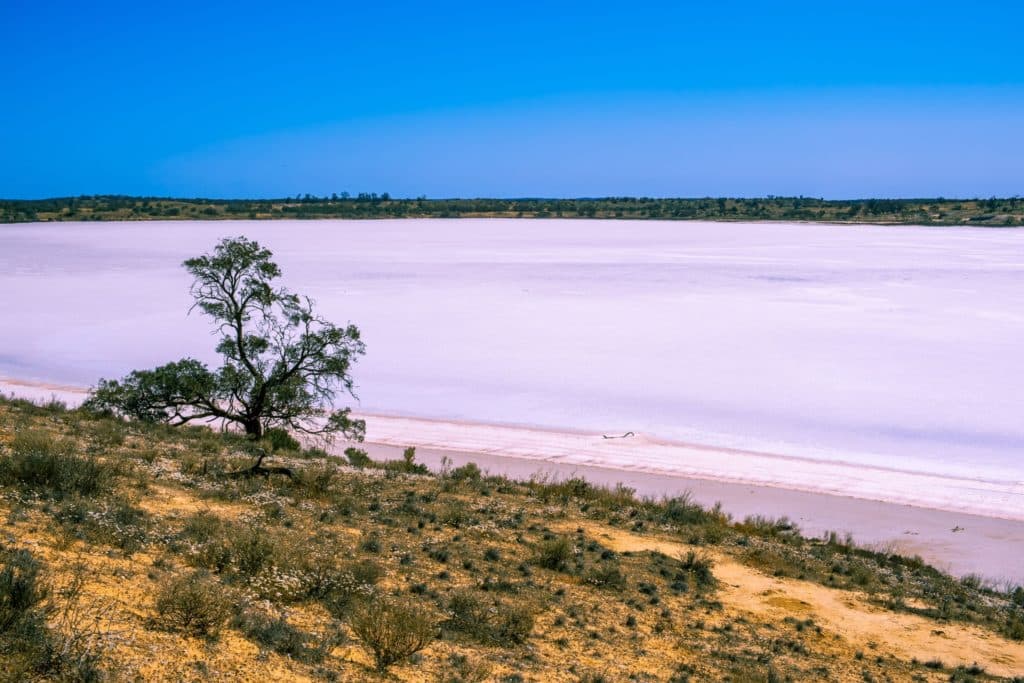 Your Guide To The Dreamy And Picturesque Pink Lakes In Victoria