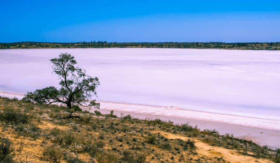 Your Guide To The Dreamy And Picturesque Pink Lakes In Victoria