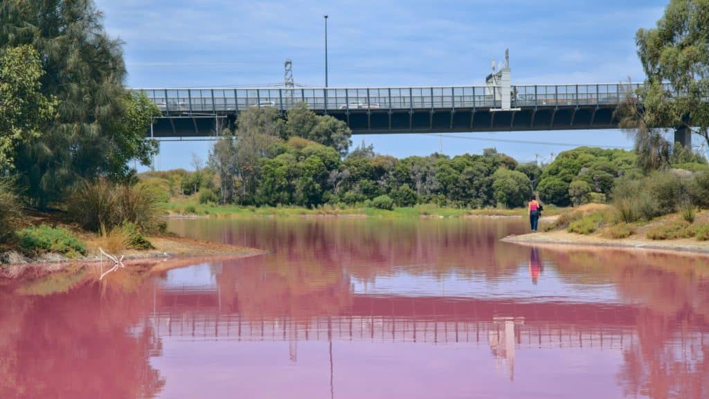 a pink lake in front of the Westgate Bridge