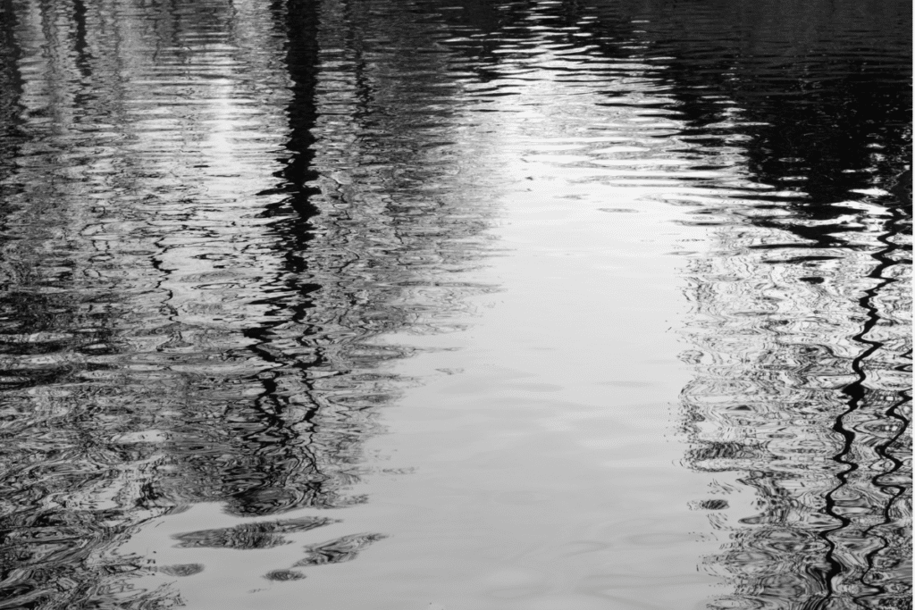 reflections on a dark lake