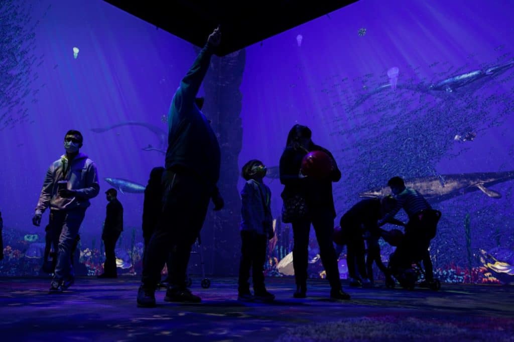 A group of people in a virtual aquarium.