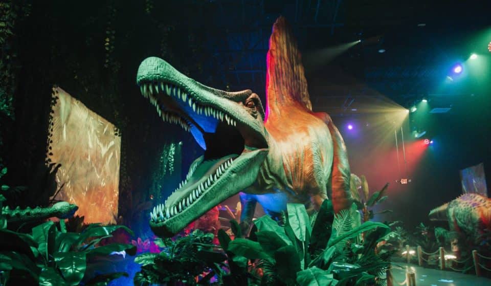 A Roarsome Immersive Dinosaur Experience Will Be Stomping Into Melbourne This October