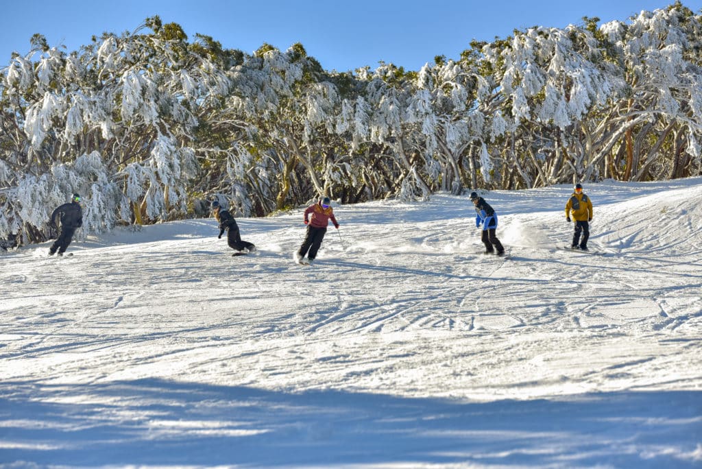 skiers winding their way down a slope