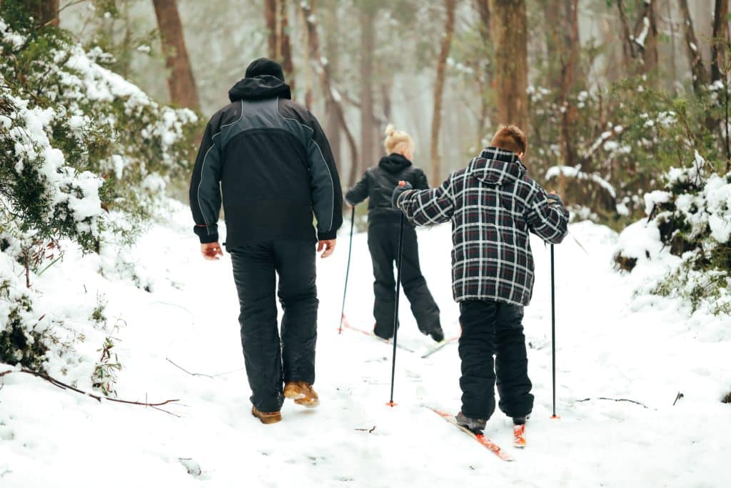a family going cross country skiing through a forest