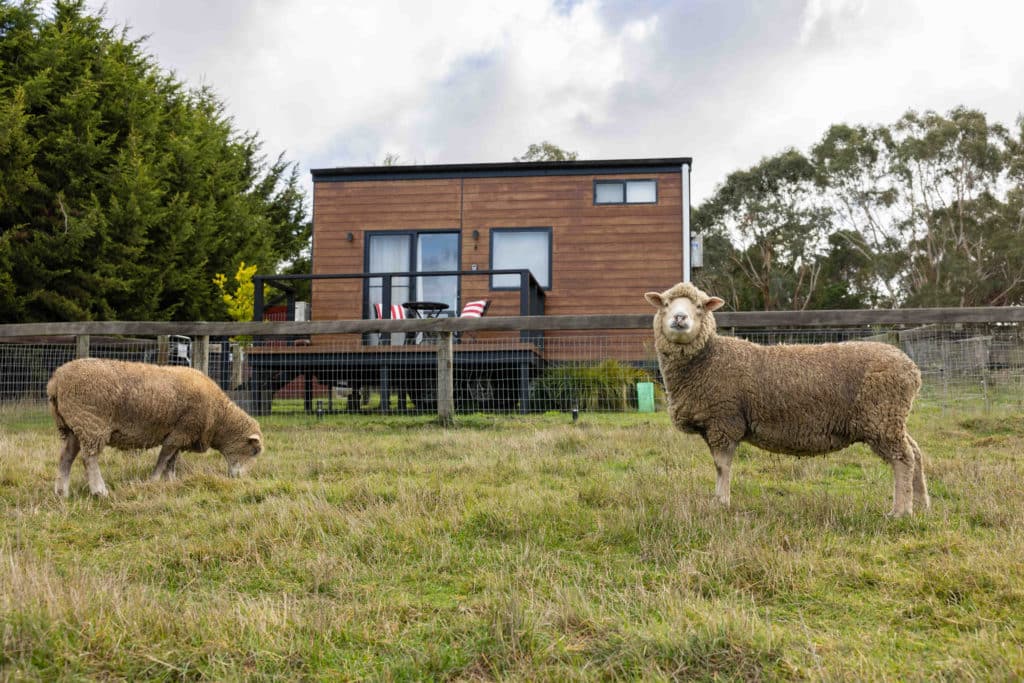 Stay Overnight In One Of The Idyllic Tiny Houses By Animal Sanctuary Edgar’s Mission
