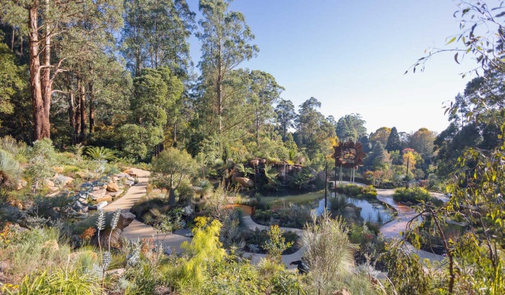 Listen To Singing Frogs In A Billabong At This Tranquil Native Garden In Olinda