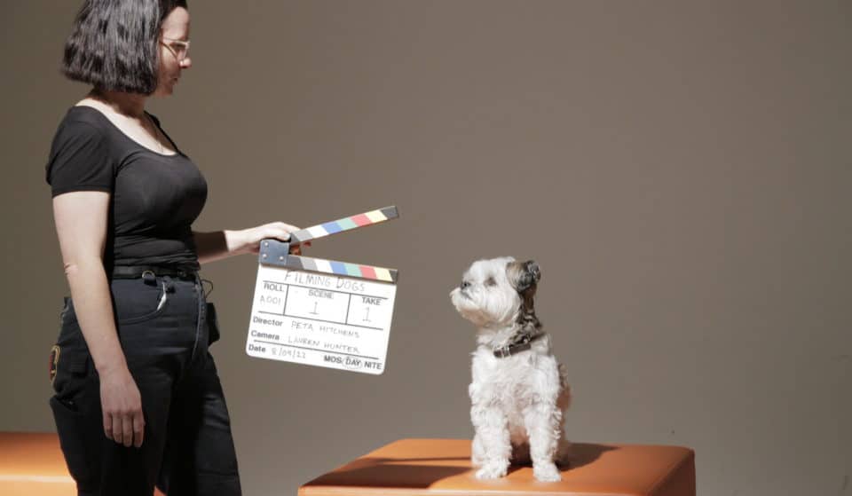 This Super Cute Film Festival In Melbourne Is Dedicated Entirely To Films About Dogs