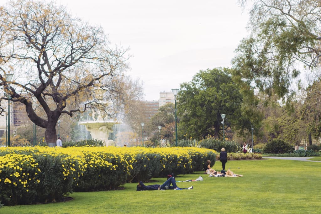 Carlton Gardens Victoria Australia A Relaxing Display At A Flower