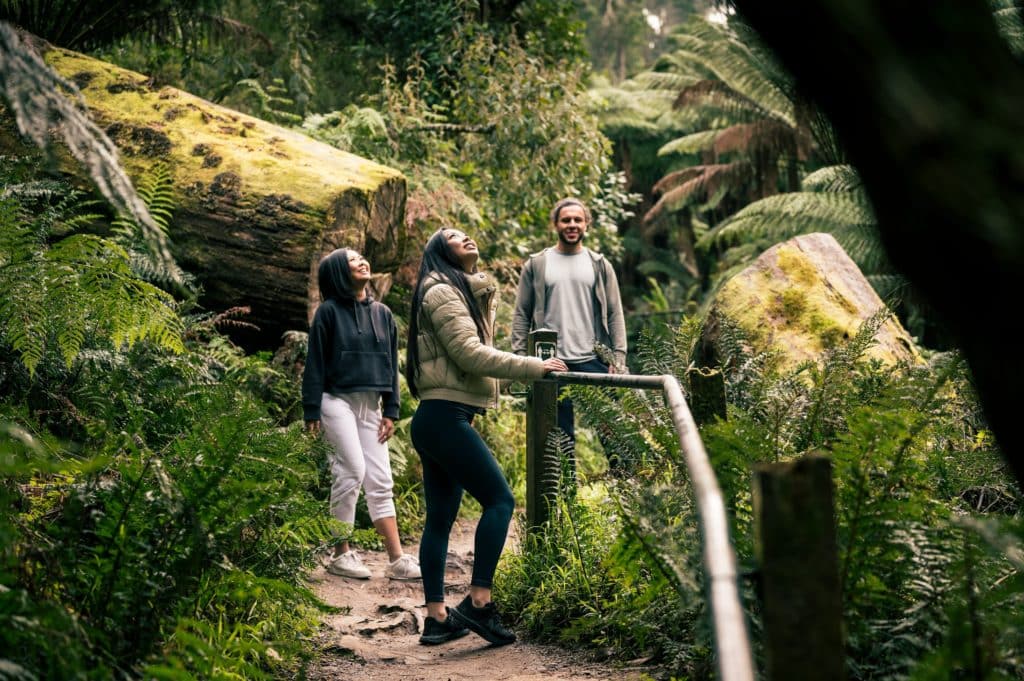 three people admiring the view on the 1000 steps walk in Dandenong Ranges National Park