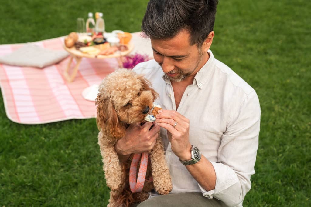 man feeding a little doughnut to his small dog
